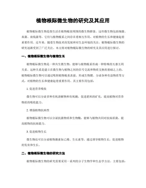 植物根际微生物的研究及其应用