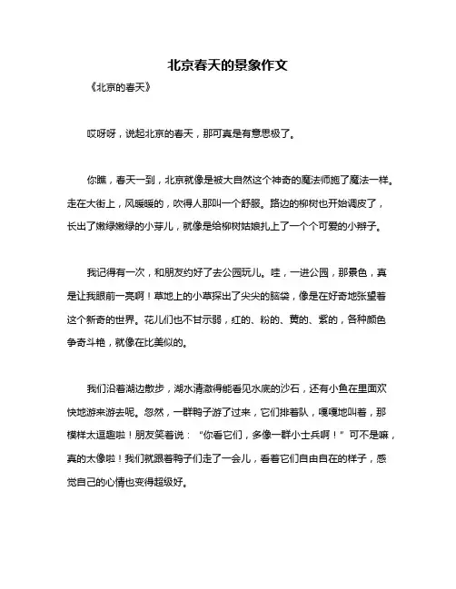 北京春天的景象作文