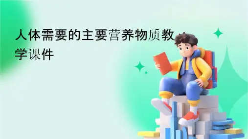 人体需要的主要营养物质教学课件