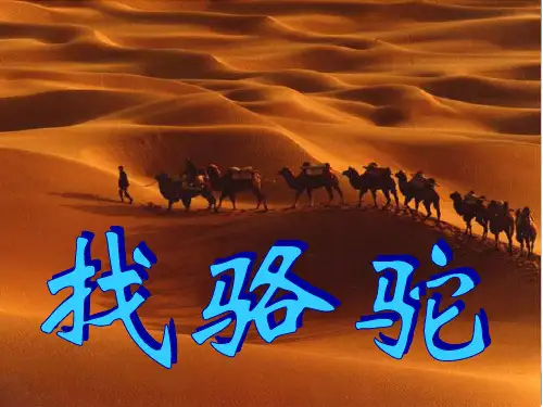 16《找骆驼》课件