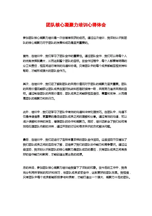 团队核心凝聚力培训心得体会