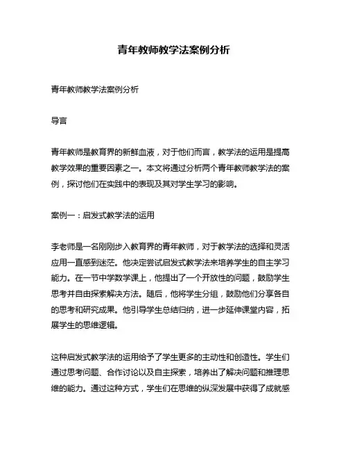 青年教师教学法案例分析