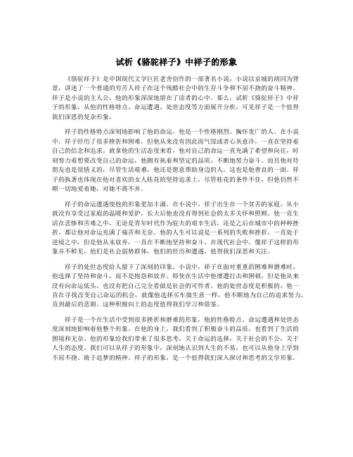 试析《骆驼祥子》中祥子的形象
