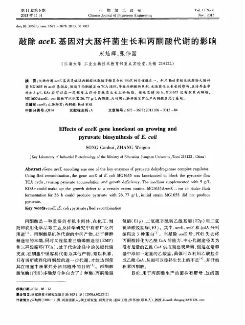 敲除aceE基因对大肠杆菌生长和丙酮酸代谢的影响