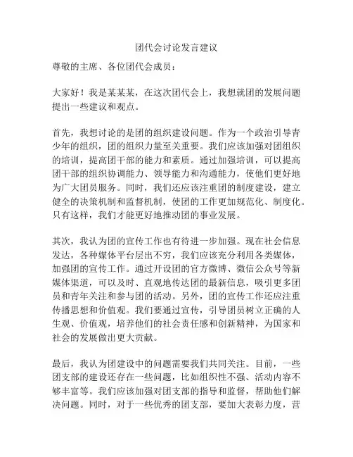 团代会讨论发言建议