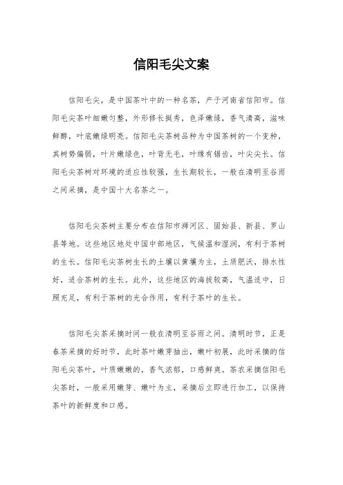 信阳毛尖文案