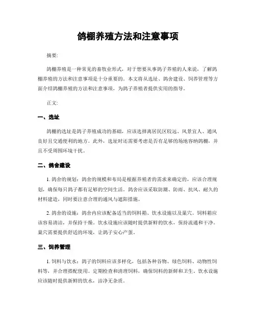 鸽棚养殖方法和注意事项
