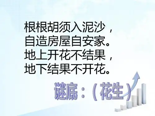 《落花生》ppt课件