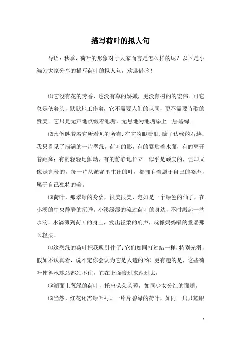 描写荷叶的拟人句