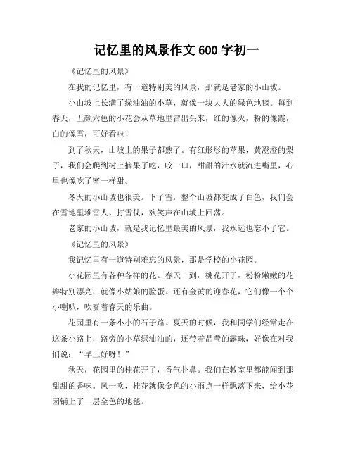 记忆里的风景作文600字初一