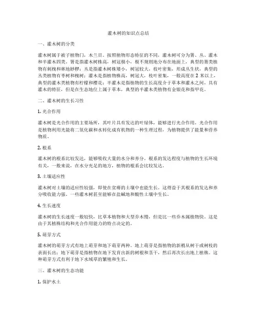 灌木树的知识点总结
