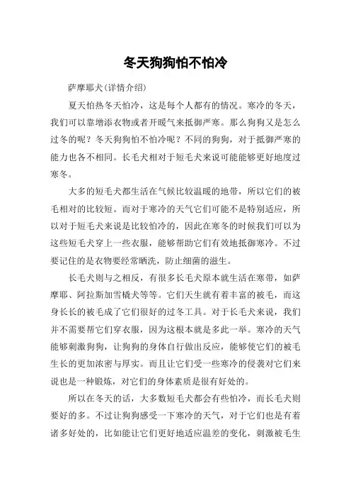 冬天狗狗怕不怕冷