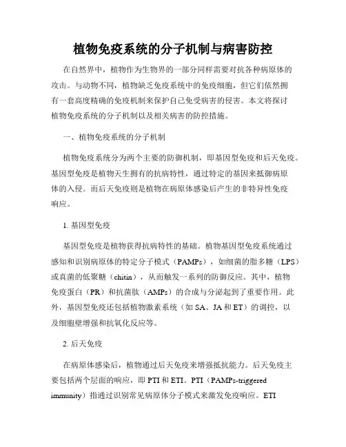 植物免疫系统的分子机制与病害防控
