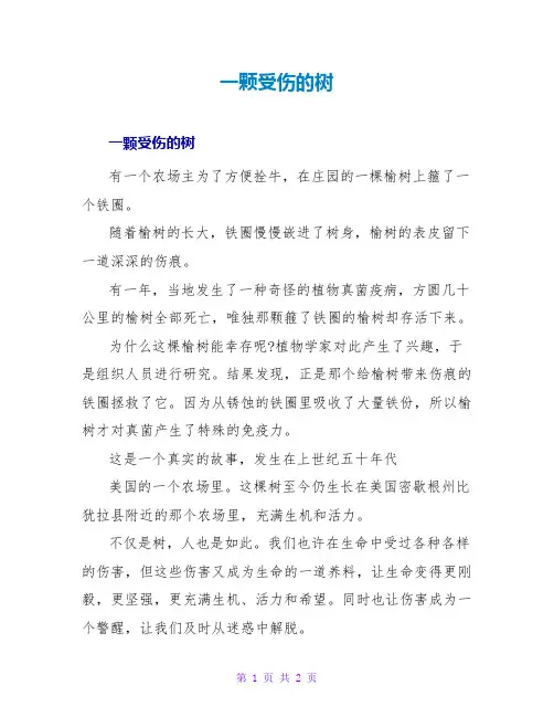 一颗受伤的树