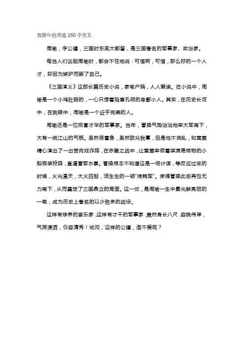 我眼中的周瑜250字作文