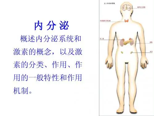 内分泌 课堂笔记