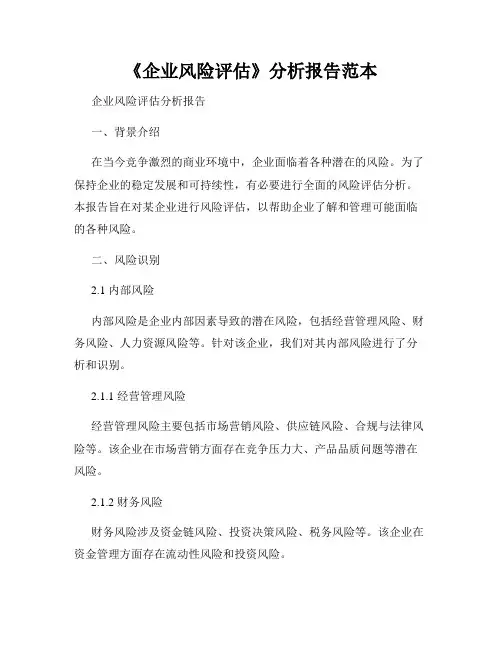 《企业风险评估》分析报告范本