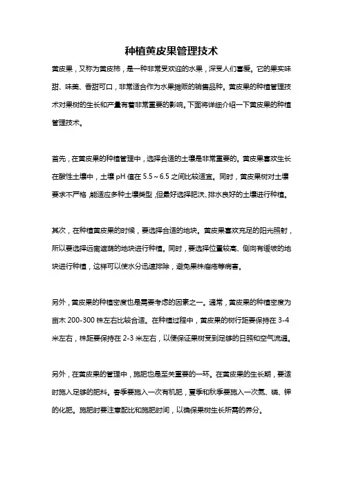 种植黄皮果管理技术