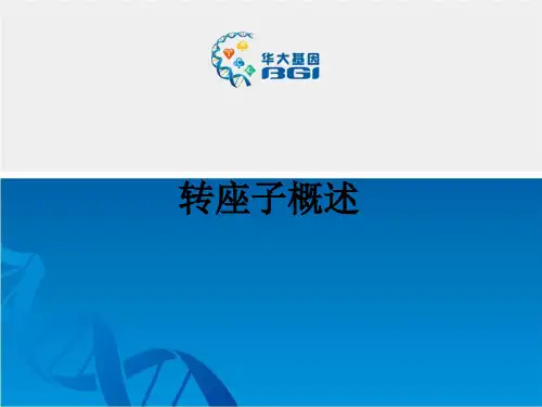 转座子概述