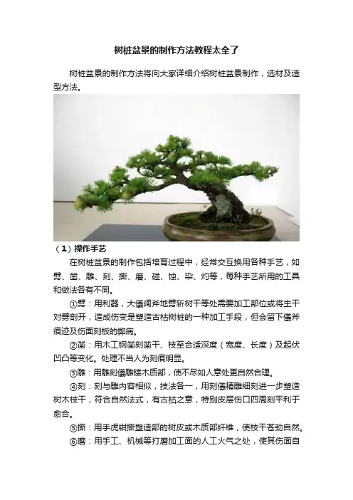 树桩盆景的制作方法教程太全了