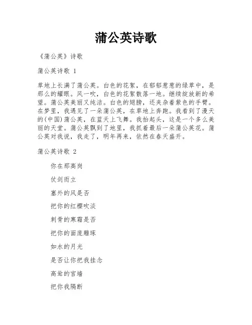 蒲公英诗歌