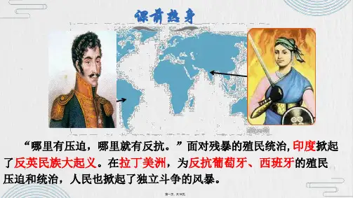 人教部编版九年级殖民地人民的反抗斗争PPT课件