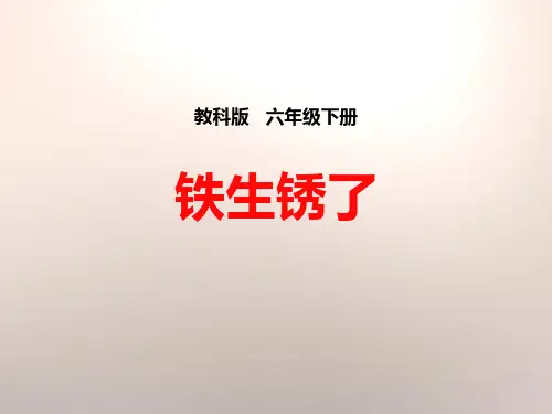 《铁生锈了》物质的变化 完美课件