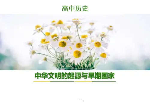 《中华文明的起源与早期国家》PPT教学课件