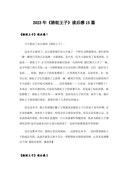 2023年《骆驼王子》读后感15篇