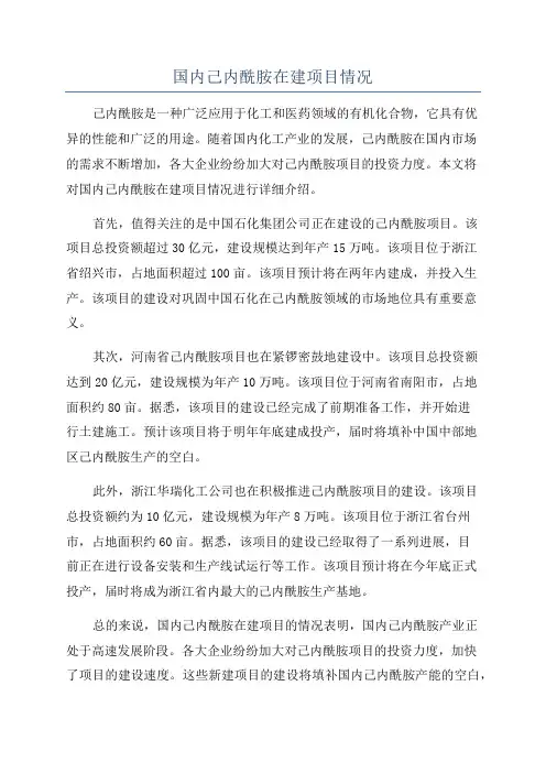 国内己内酰胺在建项目情况