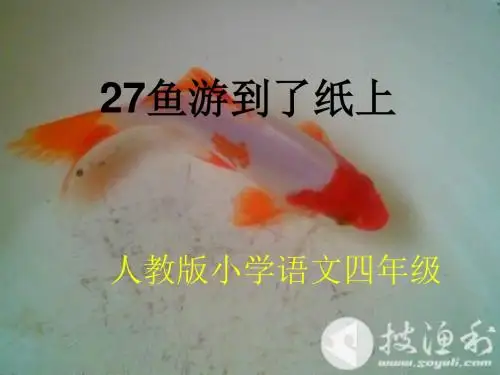 27鱼游到了纸上完美版ppt
