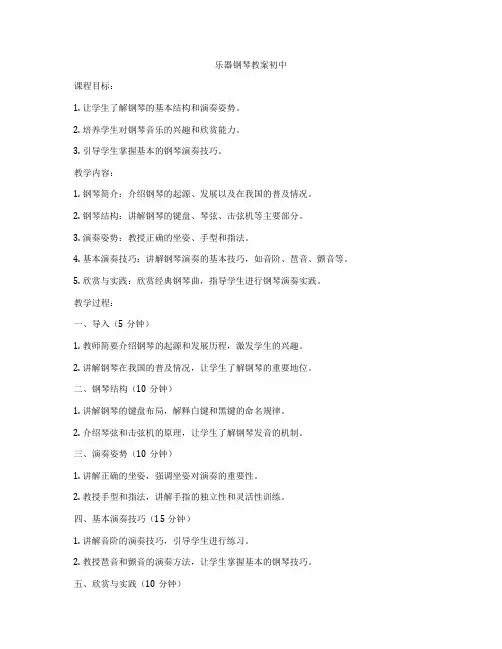 乐器钢琴教案初中