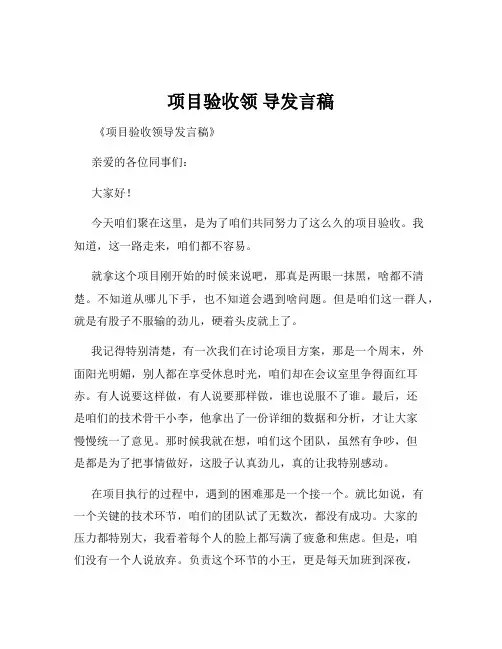 项目验收领 导发言稿