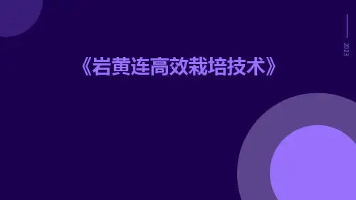 岩黄连高效栽培技术
