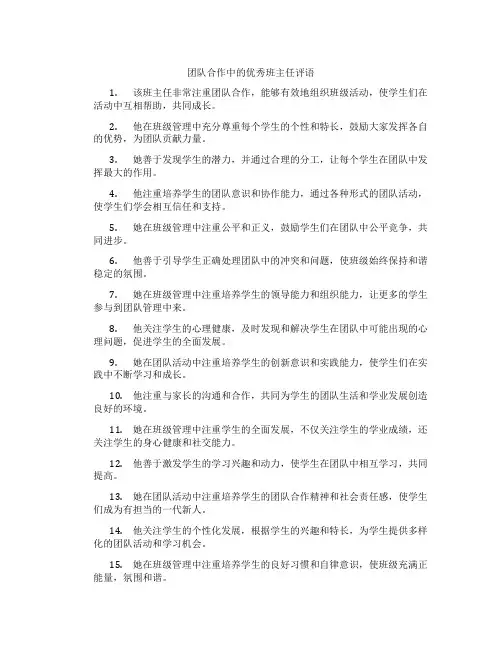 团队合作中的优秀班主任评语