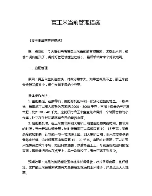 夏玉米当前管理措施