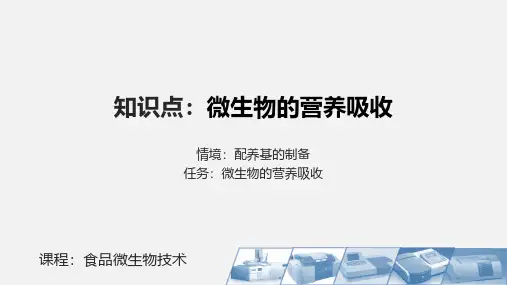 微生物对营养物质的吸收