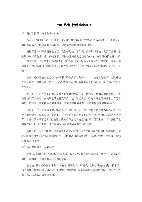 节约粮食-杜绝浪费征文