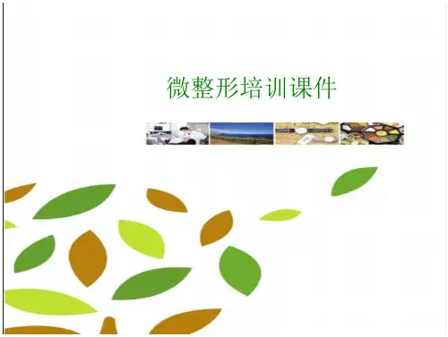 微整形培训课件 文档全文免费预览