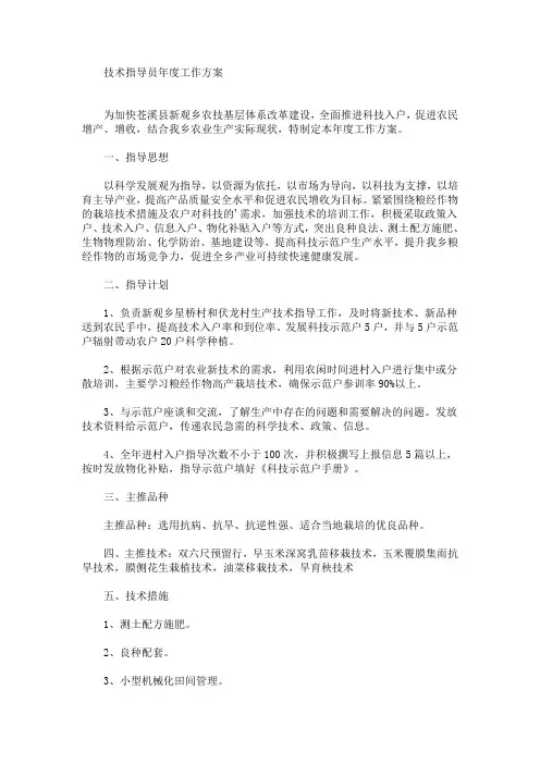 技术指导员年度工作方案(最新)