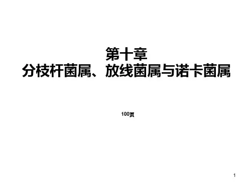 第十章 分枝杆菌属、放线菌属与诺卡菌属