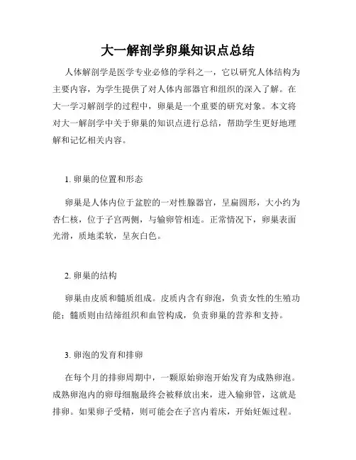 大一解剖学卵巢知识点总结