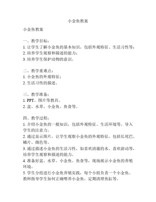 小金鱼教案