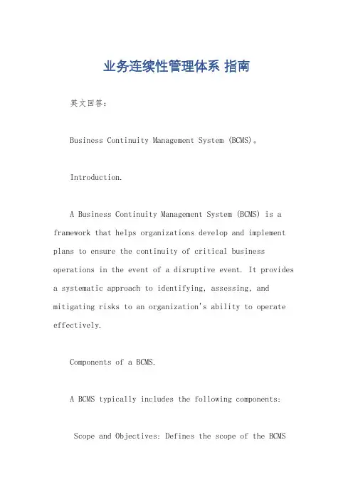 业务连续性管理体系 指南