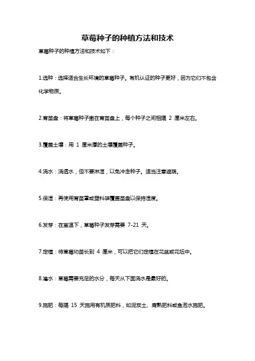 草莓种子的种植方法和技术