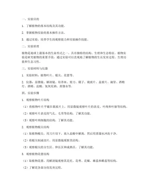 植物基本实验报告
