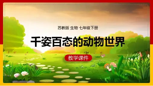 初中生物苏教版八年级上册《第二节千姿百态的动物世界》课件