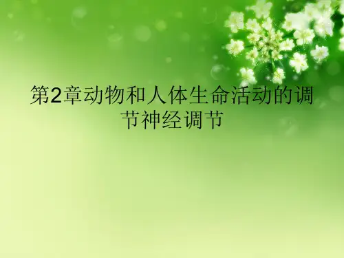 第2章动物和人体生命活动的调节神经调节优秀课件