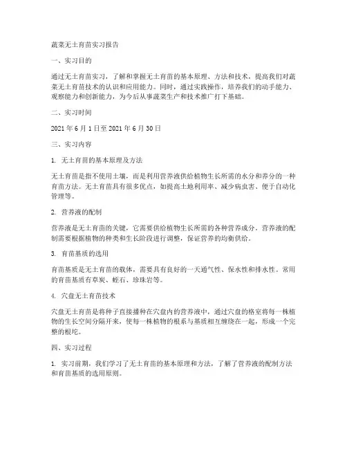 蔬菜无土育苗实习报告