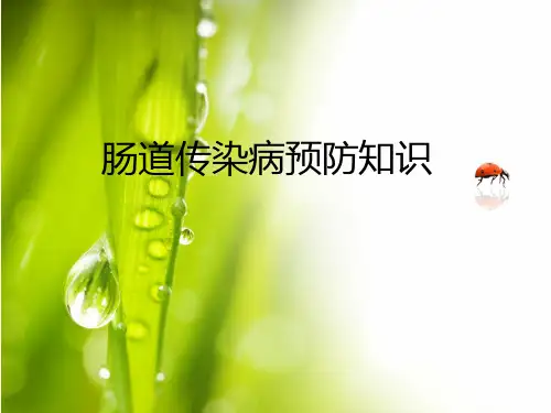 肠道传染病预防知识